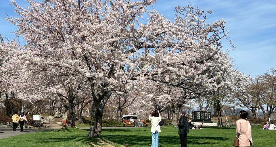 戸田記念墓地公園